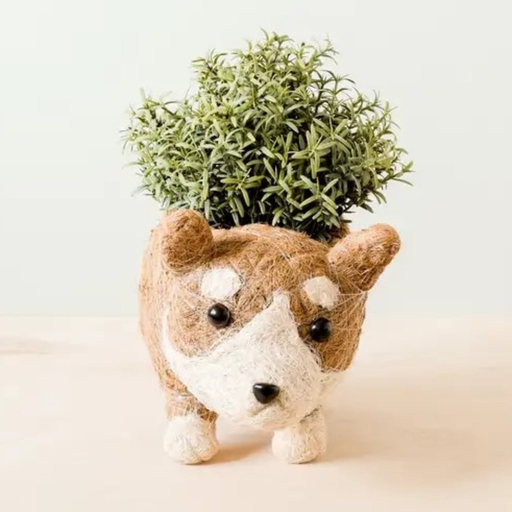 Corgi Planter